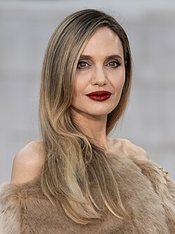 Angelina Jolie 643531 (cropped)