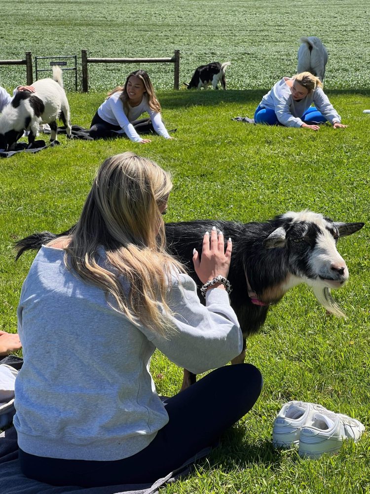 At one with goats. (Image: Original Goat Yoga)