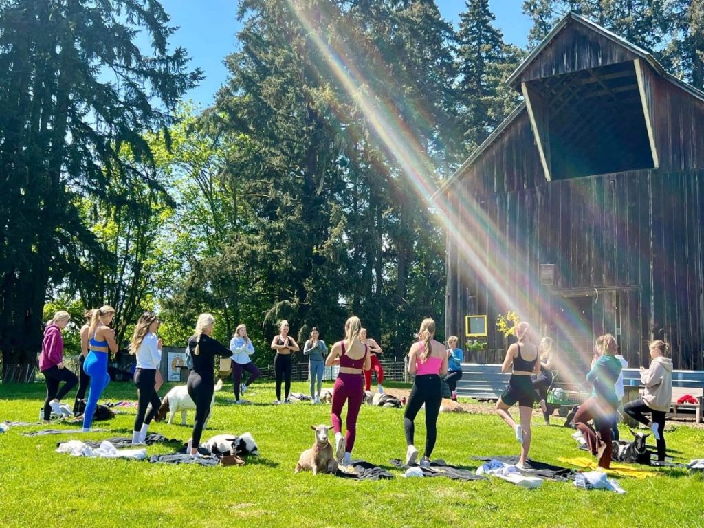 A goat yoga class. (Courtesy: The Original Goat Yoga)