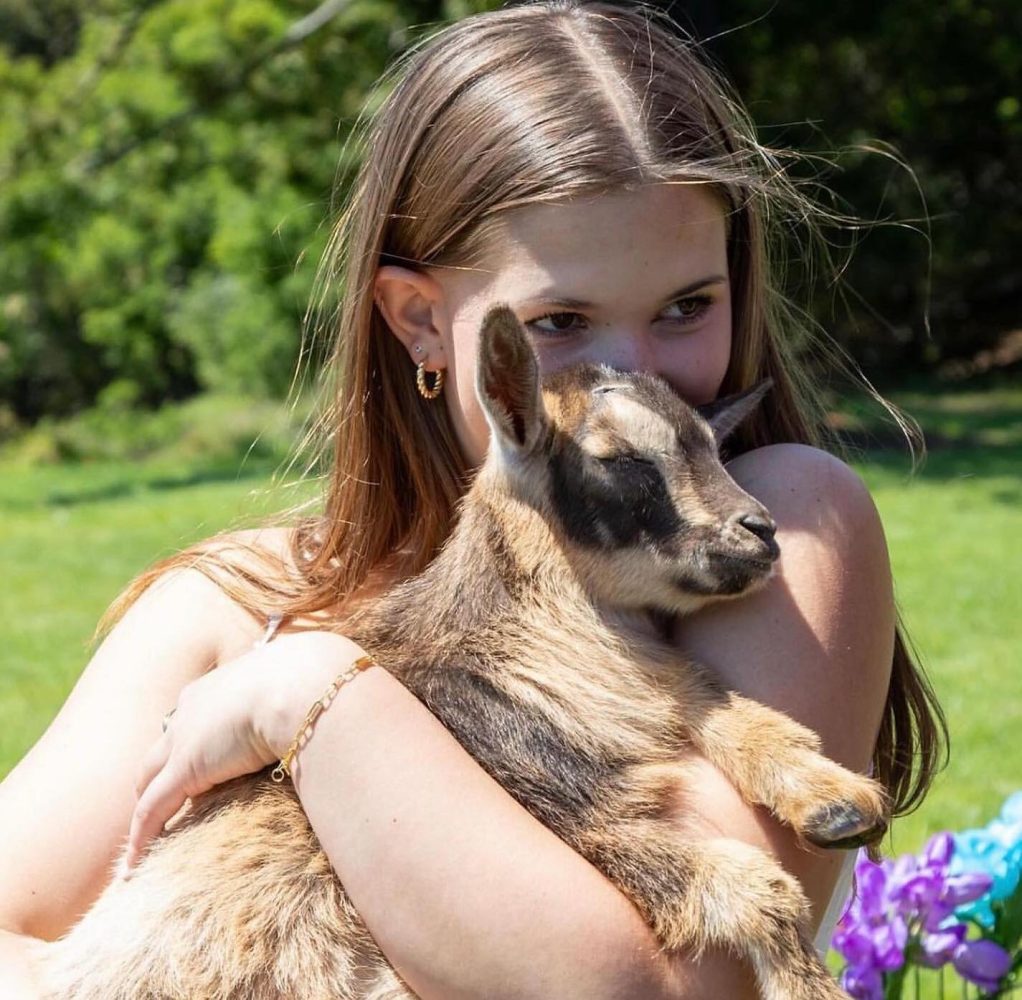 Some universities host "animal therapy" events with goats. (Image: Original Goat Yoga)