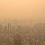 climate change women wildfires nyc