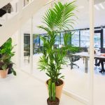 Entrepreneurs may find themselves looking for ways to go green in their businesses. We’ve rounded up a list of six eco-friendly business practices that female founders and their firms can consider. (Credit: Elevate Digital, Pexels)