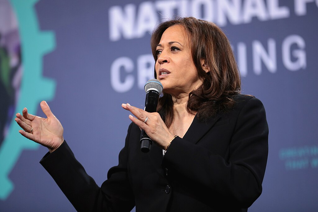 Kamala Harris 107 Days Women's Wants Needs Dreams