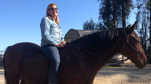 Pregnant Mare Rescue