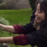 Mother Nation Helps Heal Native Women