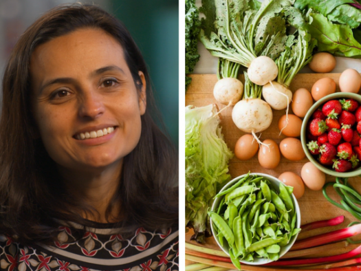 Tatiana Garcia Granados The Common Market